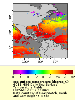 GOES, Daily Sea Surface Temperature Fields